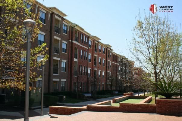Side Image