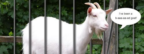 goat_2.jpg