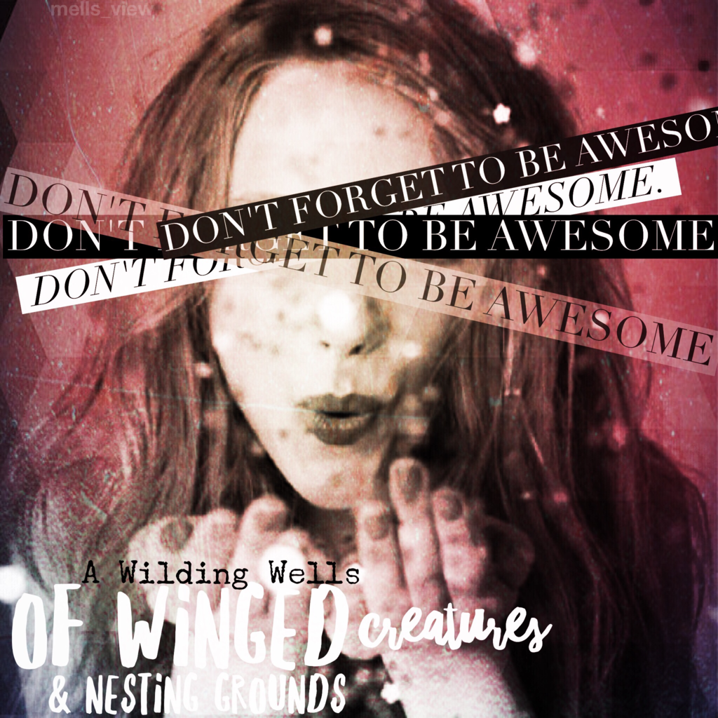photo B77740DF-CA40-42A7-B8E6-3F0ECD0DE326_zpst1ew5io2.png