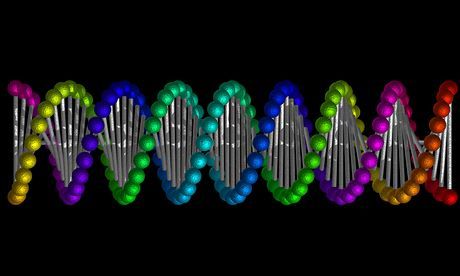  photo DNA-double-helix-Image-s-011_zps1572ba52.jpg