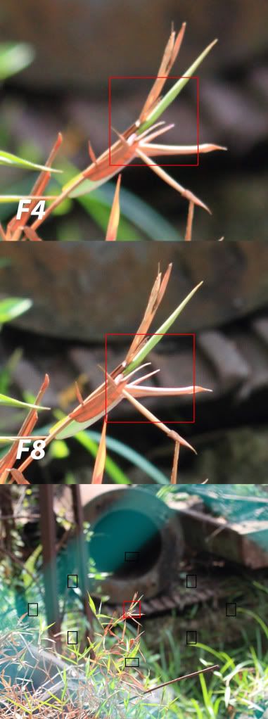 IMAGE: http://i1024.photobucket.com/albums/y304/ph20088/70200_farGrass_f4-8.jpg