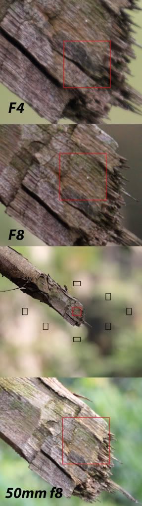 IMAGE: http://i1024.photobucket.com/albums/y304/ph20088/70200_wood_f4-8.jpg