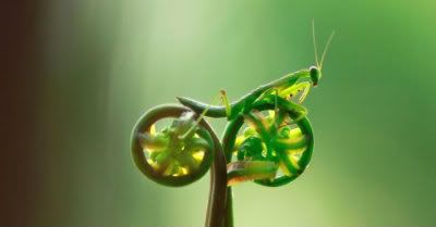 ciclista-1