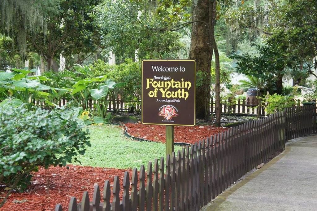 Ruta por Florida, DisneyWorld - Blogs de USA - Día 10 Sep: Visita San Agustín y llegada a DisneyWorld (25)