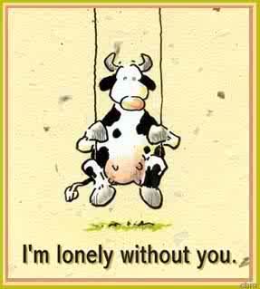 http://i1024.photobucket.com/albums/y308/TaDaEd/cow.jpg