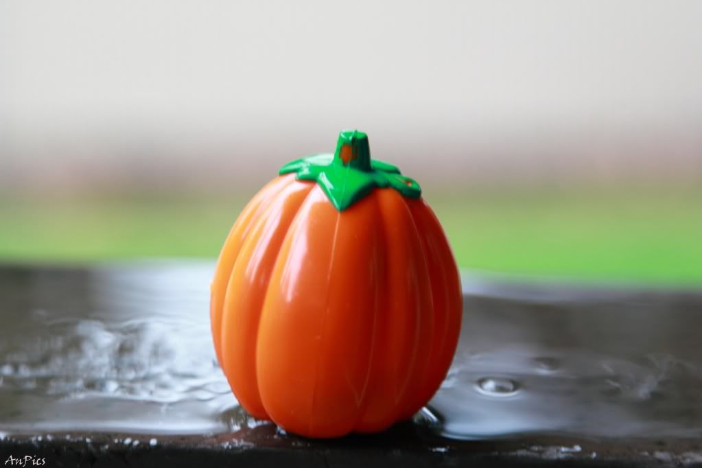 IMAGE: http://i1024.photobucket.com/albums/y309/Anishkumar007/AnPhotography/Pumpkin2.jpg